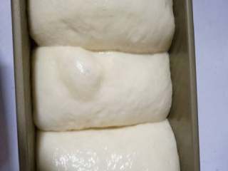 9、toast吐司,发到9分满 烤箱170度烤38分钟左右