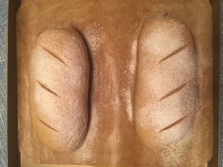 11、红糖核桃红枣软欧--无比美味,发酵到两倍大的时候，撒上全麦粉，用刀片割出纹路