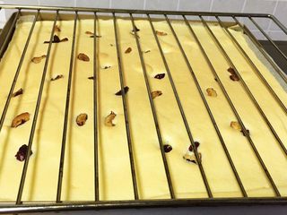 18、红枣蛋糕卷,用网格盖上,翻个身。