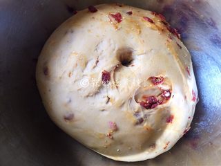 8、红糖枸杞软欧包,放在温暖处进行发酵，发酵至有原来的两倍大，用手指在面团中间戳一个洞，洞不会回缩、塌陷就是发酵好了。