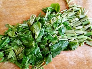 6、香椿芽炒蛋,将焯过水的香椿芽沥水捞出，切小段备用。