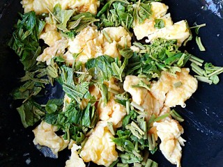 10、香椿芽炒蛋,将切好的香椿芽放入下锅。