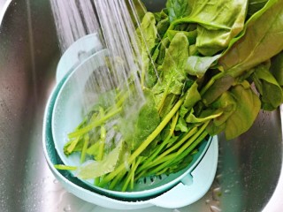 3、菠菜拌花生米,洗干净的菠菜切三段，我的菠菜比较大，小菠菜不切也可以。