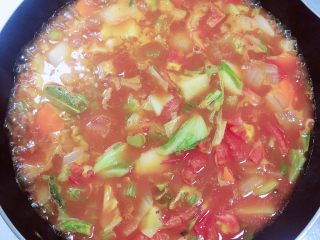 11、罗宋汤,倒入1000ml水，烧开后盖盖儿，中火炖煮10分钟。