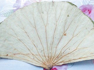 8、香芋蒸排骨,准备好一片干荷叶！