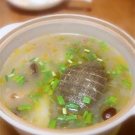 清炖甲鱼