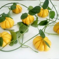 南瓜猪肉豇豆包子