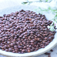 药膳失眠酸枣仁改善失眠个小功效大