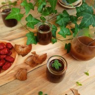 润肺止咳秋梨膏