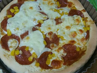 10、自制披萨酱,这就是我做的成品啦