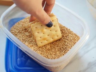 11、南瓜夹心苏打饼,把侧面在白芝麻里滚上一圈。