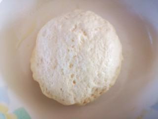 8、美味放心油条,再用手揉匀后盖上盖子或保鲜膜醒40分钟