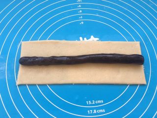 11、玫瑰豆沙一口酥,玫瑰豆沙用手揉搓成长条,放在面团中间。