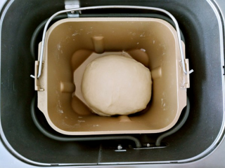 4、金钱包,开始第一次发酵