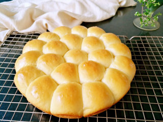 13、金钱包,脱模