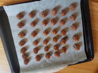 19、曲奇饼干,挤后送烤箱烘烤