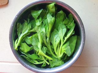 3、碧绿脆爽冰草沙拉,清水里洗净