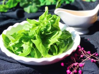 10、碧绿脆爽冰草沙拉,把冰草装入盘内