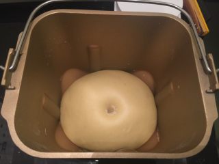 6、迷你热狗包,手沾少许面粉，插入面团中间，不回缩即发酵好了