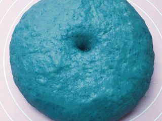 8、花卷馒头,这是发酵好的样子,体积2倍大,手指戳一个洞,洞口,不回缩不变形。