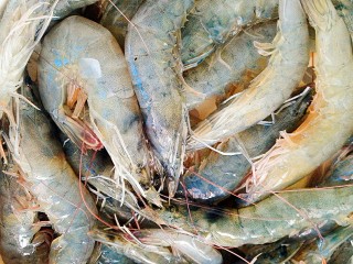 1、烤三鲜拼盘,洗净虾