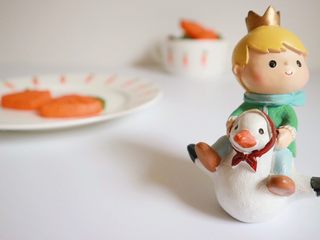 20、超萌胡萝卜小饼干(芝士口味),小王子~