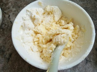 10、蔓越莓曲奇饼干,然后用铲子切拌均匀