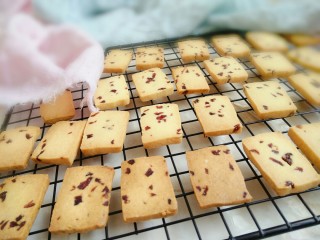 19、蔓越莓曲奇饼干,烤好后放在烤网上晾凉即可食用