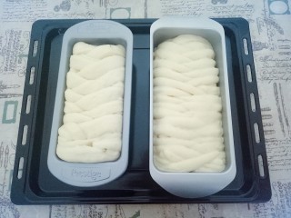 12、辫子面包,发酵好的面包胚