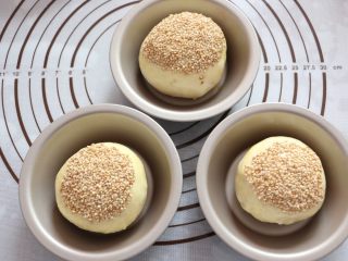 10、汉堡,沾上一层熟芝麻，放入汉堡模具中，置于温度湿润处进行二次发酵。