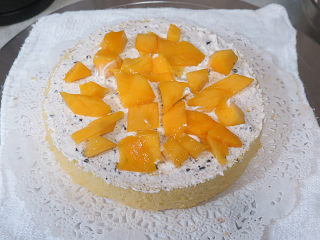 23、火爆ins的滴落蛋糕【奥利奥咸奶油蛋糕】,铺上芒果