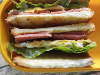 20、煎蛋蔬菜培根三明治,如图