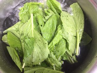 2、彩色皮冻,先将芥菜叶洗净