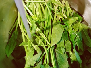 5、菠菜拌花生米,菠菜清洗干净