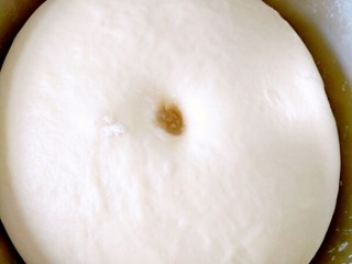 10、超长拉丝批萨,发酵两倍大，用手指按下去不反弹了证明发酵好了。