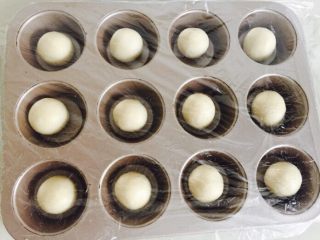 6、迷你香辣鸡排堡,把醒好的面团分成30克一个的面团揉圆放入模具中、盖上保鲜膜