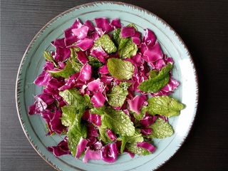 6、香肠沙拉,将紫甘蓝薄荷盛入盘子里;