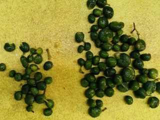 13、万能重香番茄辣酱,黄皮果用菜刀背摁压扁。