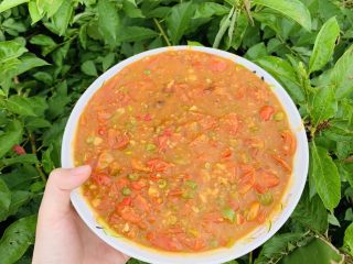 39、万能重香番茄辣酱,阳光下的颜色。