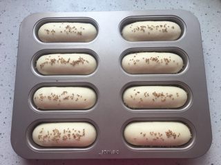 12、迷你热狗,发到两倍大，表面喷水或刷蛋液，撒适量芝麻