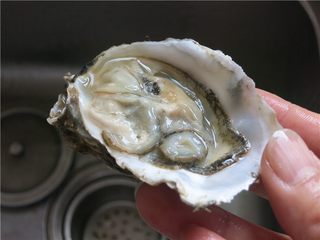 2、蒜蓉生蚝烤烤更美味,用起子或者刀将闭合的生蚝撬开，去掉上盖留下，蚝肉就留在壳内不要动了