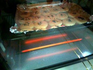 11、鸡蛋芝麻饼干,把烤盘放入烤箱，中层，上下火，175℃，15分钟。烘烤时注意观察，根据自家烤箱的不同情况随时调节