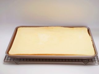 18、肉松小贝,烤好的蛋糕出炉后在桌上摔一下，震出内部气泡后，置于网架上晾凉