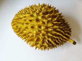 1、榴莲披萨,准备好熟透的榴莲肉