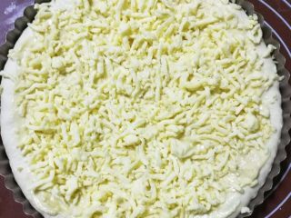 11、榴莲披萨,再在上面撒上马苏里拉芝士碎，随心所欲，想放多少放多少。