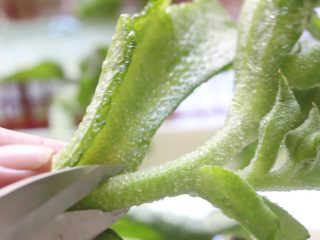 3、百香果冰草沙拉,沥水后摘改成小朵。