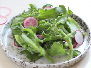 10、百香果冰草沙拉,将冰草与樱桃萝卜混合放入盘中。