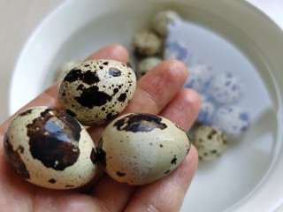 2、红烧鹌鹑蛋,鹌鹑蛋用水一个个清洗干净。