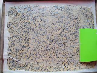 10、芝麻薄脆饼,烤盘里铺上不沾垫子或者耐高温硅胶垫(图中用的是油纸,追求完美的建议硅胶垫,自己做着吃就无所谓了)倒入搅拌好的糊糊,用刮板平铺均匀,越薄口感越好。