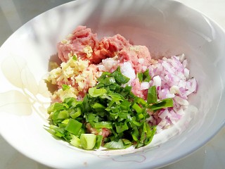 12、花样面条+塔佳琳肉丸面,肉糜中加入葱姜末，生抽1茶匙，砂糖1克，盐1克，洋葱粒半个，胡椒粉适量，老抽几滴，香油几滴。